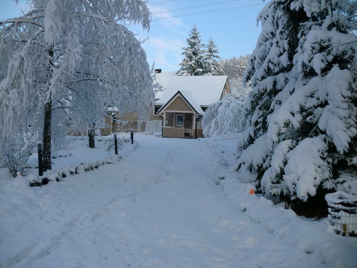 Lawendowa Dolina Villa Ustron Exterior photo